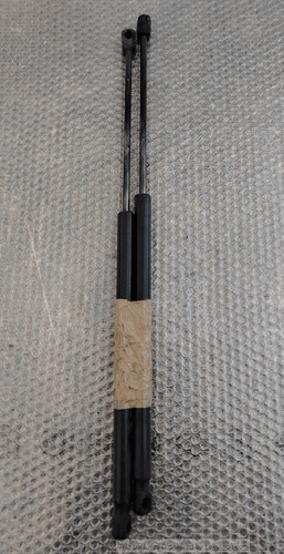 Asta ammortizzante portello