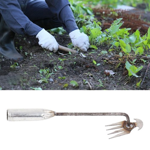 Strumento diserbo giardino - strumento, da