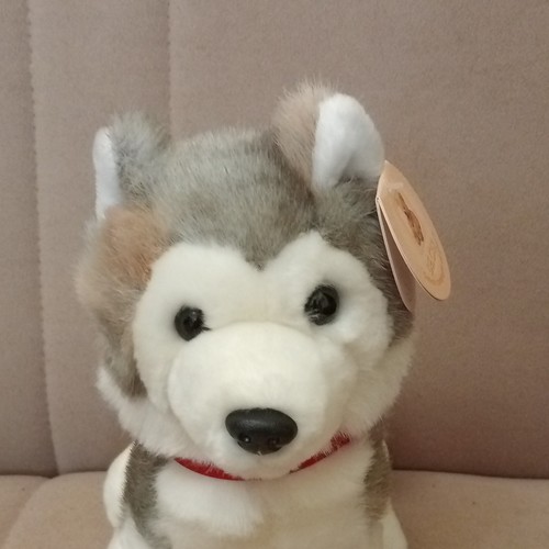 Peluche cane husky car - cane, de.car