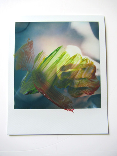 Araki polaroid originale - n.,
