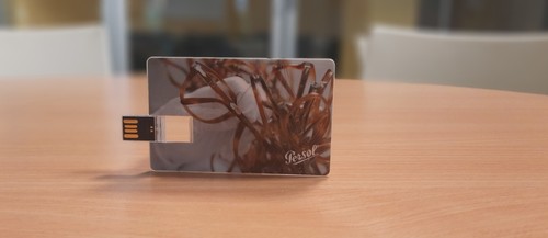 Pendrive 4gb forma di - a,