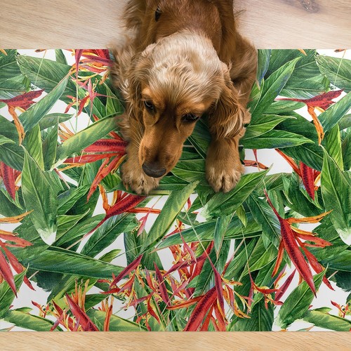 Tappetino pranzo per cani - da,