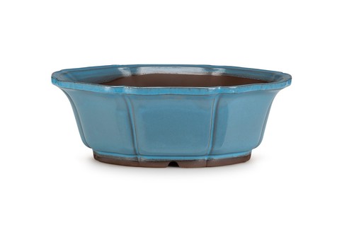 Certrè vaso per bonsai - certrè,