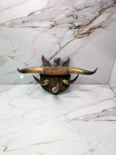 Vintage steer bull - steer,
