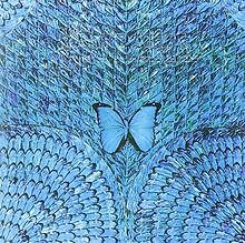 Borboletta von Santana