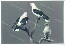 r625 bozza fotografica milano citta' museo storia naturale