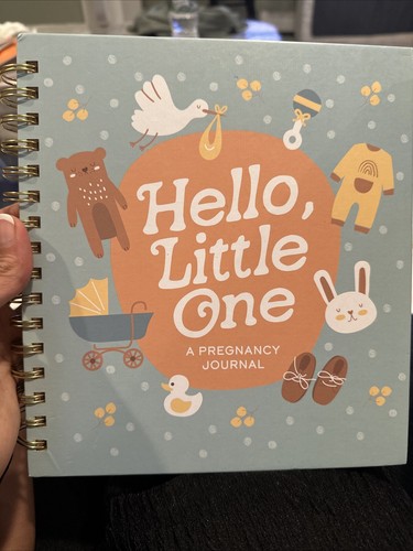Pregnancy journal from pre - a,
