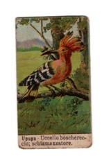 figurina anteguerra CIOCCOLATA