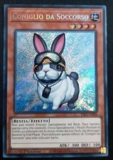CONIGLIO DA SOCCORSO Rara