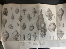 Geological Observations