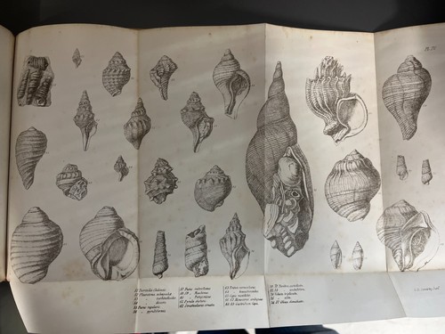 Geological observations - geological,