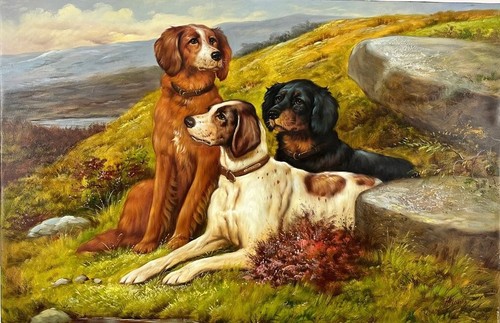 Dipinto olio tela - ad, cani