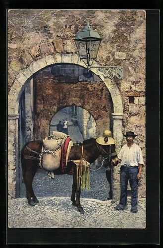Contadino con mulo - mulo,,