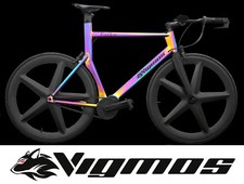 Pinion Time Triathlon Bike