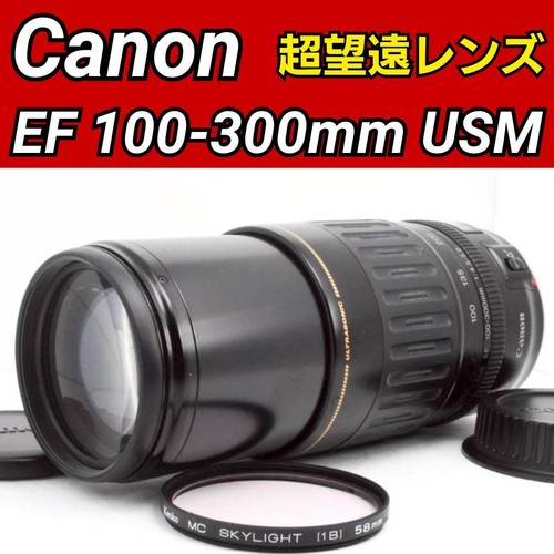 Canon 100 300 usm - 100-300,