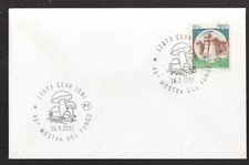 Buste 1°Giorno, Commemorative