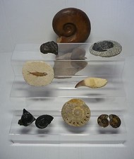 SAFE Espositore a scaletta in