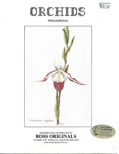 Orchids phragmipedium cross - orchids,