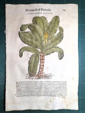 MATTIOLI MATTHIOLI Erbario a