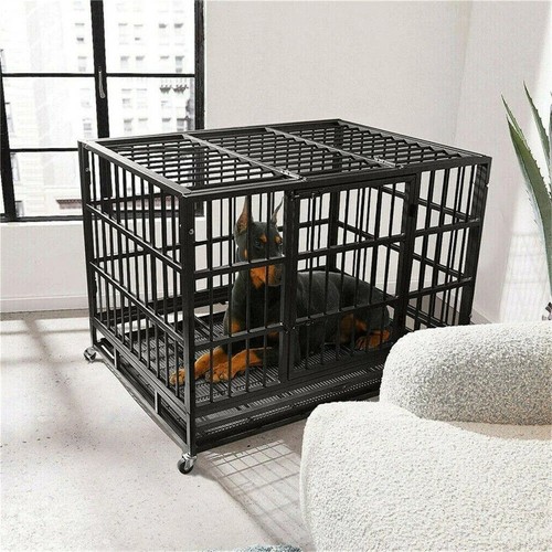 Gabbia per cani xxl - per,
