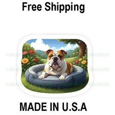 Adesivo decalcomania vinile