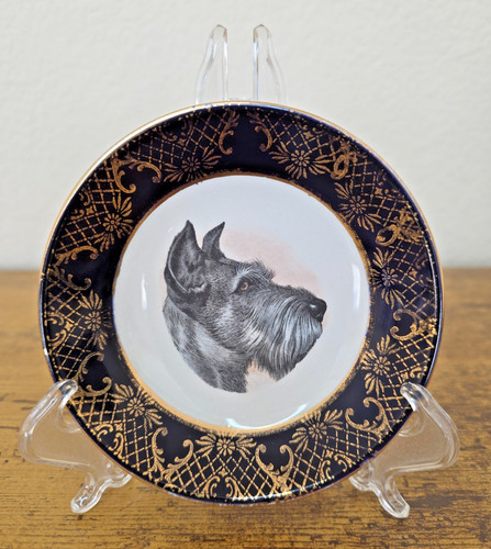 Piatto collezione cane - collezione,