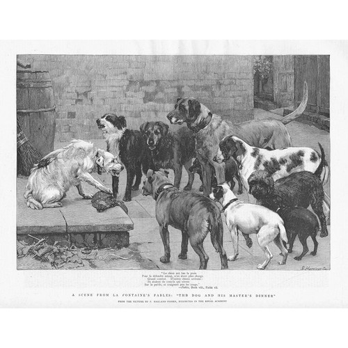 The dog and his masters - the,