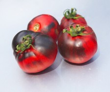 Pomodoro blu OSU - blu e rosso! - 5+ semi - semi - P 003