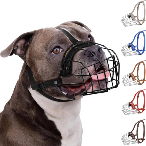Museruola per cani pitbulls - per,