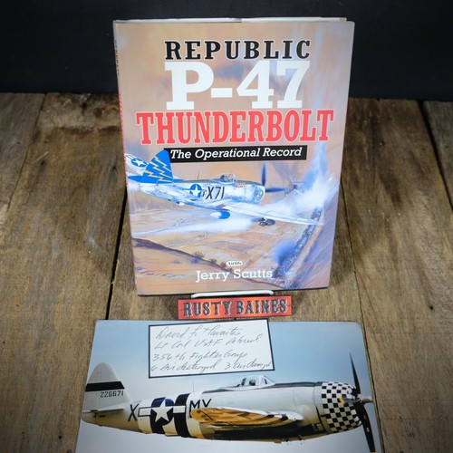 Republic thunderbolt - republic,
