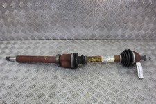 Cardano Anteriore Destro -