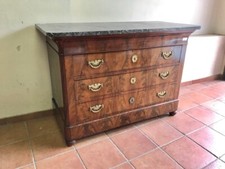 Elegante Cassettone Carlo X in