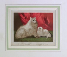 cromolitografia originale