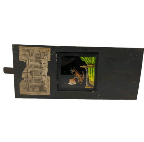 1800s magic lantern slide cat - 1800s,