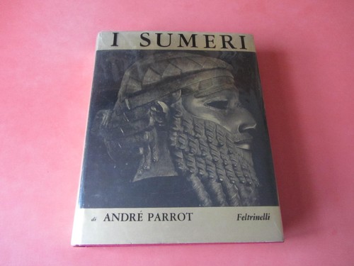 Parrot andré sumeri - andré., i