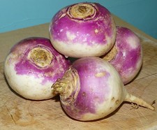 RUTABAGA * 500 SEMI SFUSI *