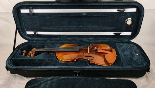 Violino anonimo nessuna - violino,