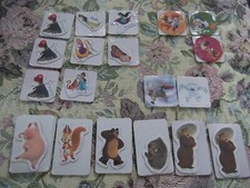 19 calamite magneti galbani