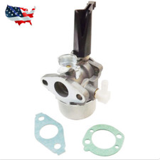 Per Briggs Stratton 696065