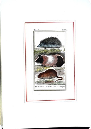 Stampa antiche epoca 800 - antiche, '800