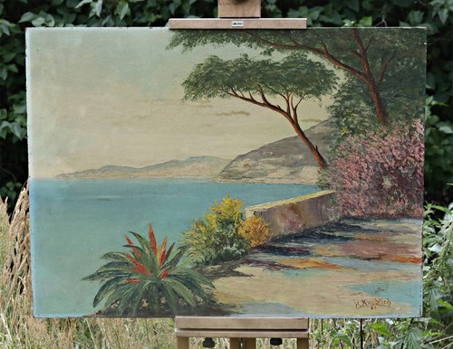 Quadro olio vista - quadro,