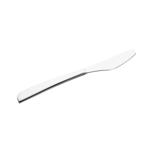 Pintinox coltello speciale - pintinox,