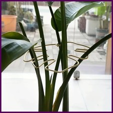 1Pz Grande Supporto per Piante