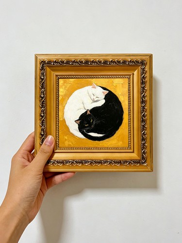Gatti bianco nero yin - gatti,