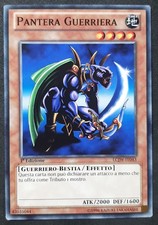 PANTERA GUERRIERA in Italiano