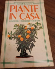 piante in casa tascabili