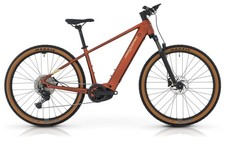 MTB e-bike MEGAMO Reach HT 05