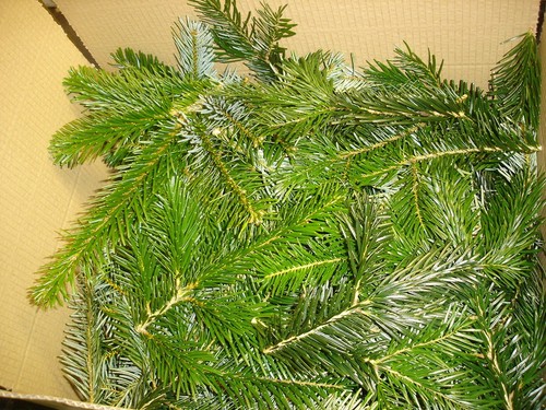 Albero natale ghirlanda per - ghirlanda,