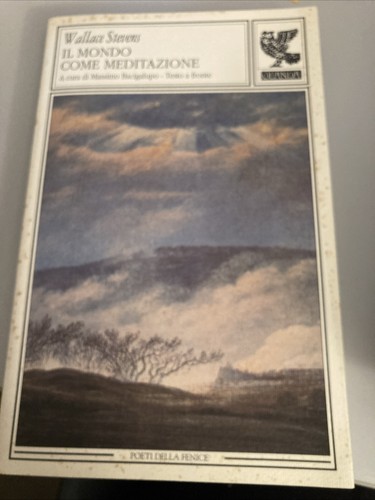 Mondo come meditazione - il,
