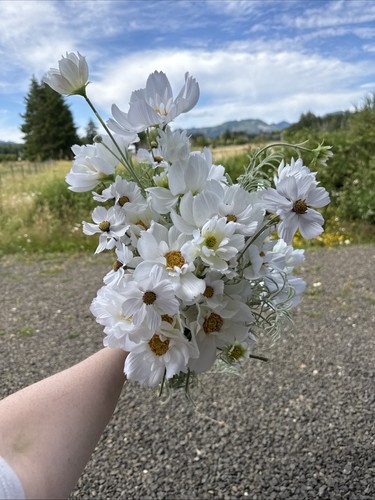 Cosmo faux flower lot - cosmo,